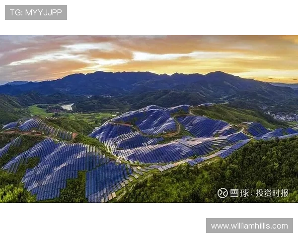 瑞丰国际：引领全球金融投资新趋势的领军企业